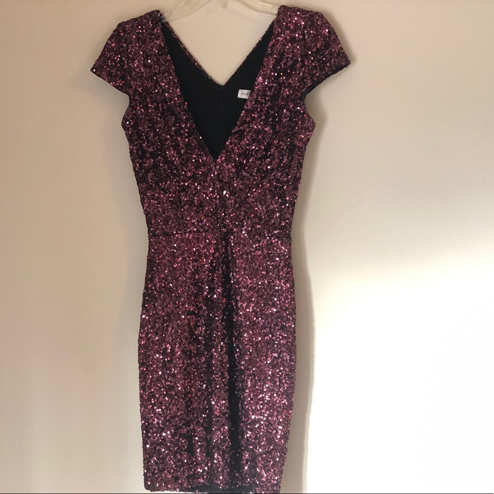 Dress the Population Sequin Dress